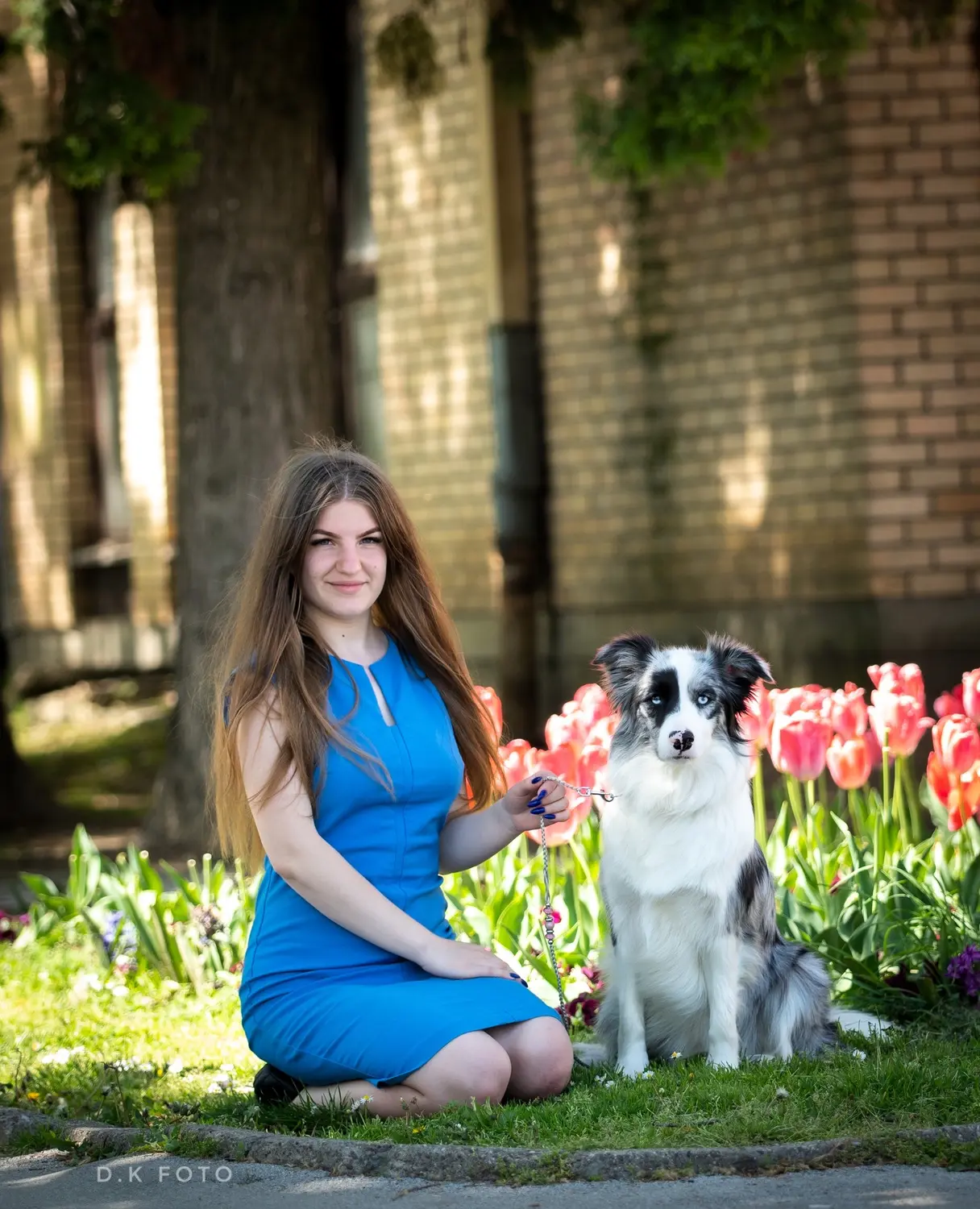 Iskra i Slaven, roditelji planiranog legla — fotografija 33